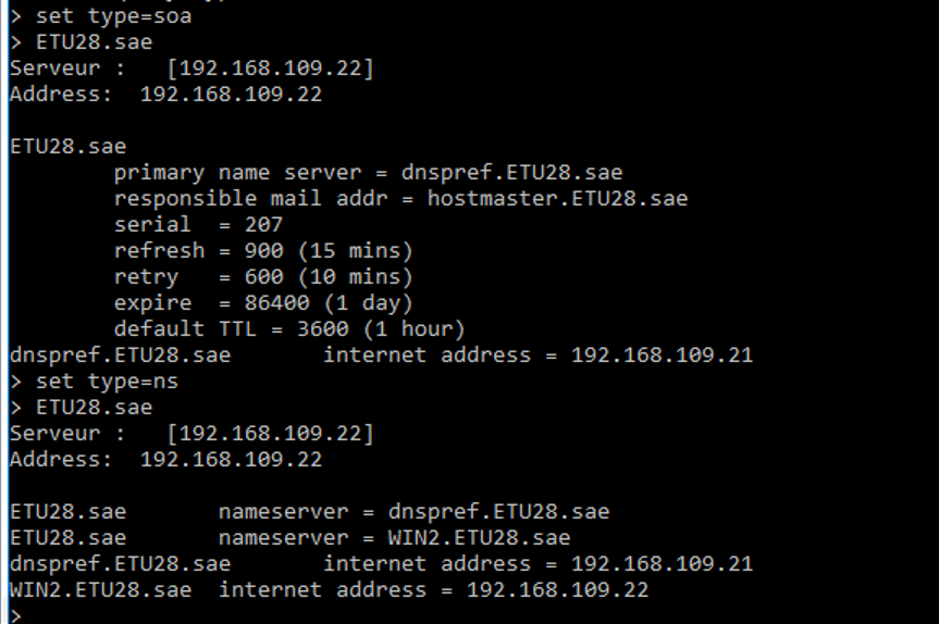 Vérification DNS (nslookup)
